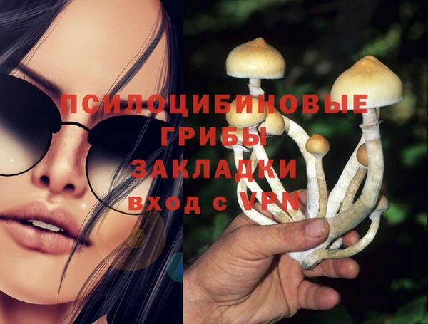 ALPHA PVP Алексеевка